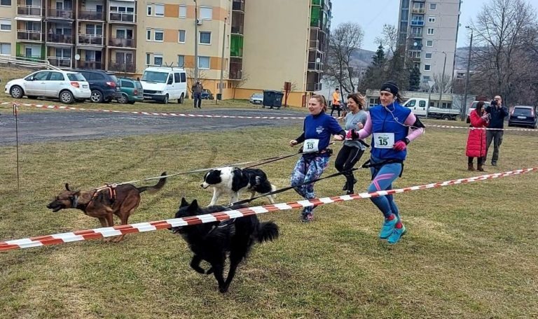 Ózdi Kutyás Hegyifutó Verseny – Végeredmény